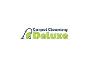 Carpet Cleaning Deluxe image 1